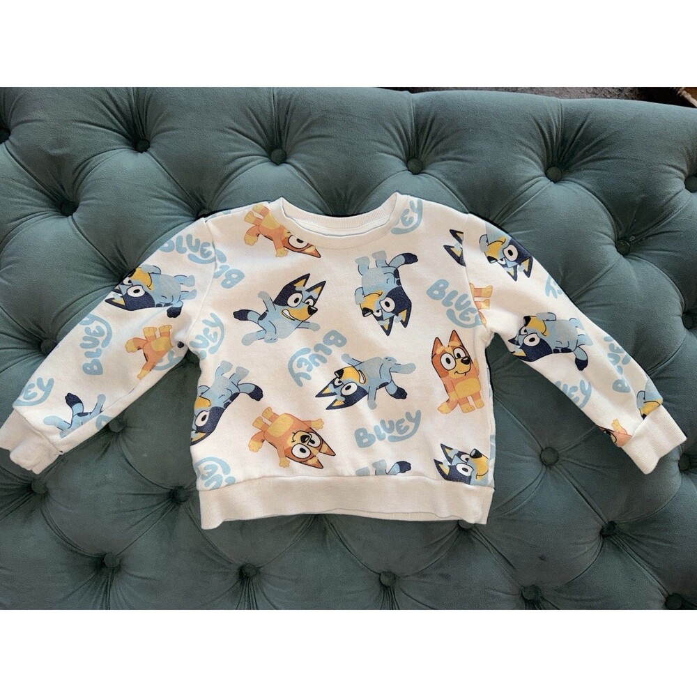 Bluey And Bingo Sweatshirt Toddler Size 4T Kids Long Sleeve Casual Sweater